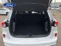 Ford Kuga 2.5 Duratec PHEV ST-Line 4x2 Blanco - thumbnail 10