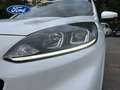Ford Kuga 2.5 Duratec PHEV ST-Line 4x2 Blanco - thumbnail 7