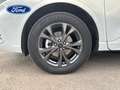 Ford Kuga 2.5 Duratec PHEV ST-Line 4x2 Blanco - thumbnail 8