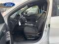 Ford Kuga 2.5 Duratec PHEV ST-Line 4x2 Blanco - thumbnail 12