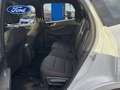 Ford Kuga 2.5 Duratec PHEV ST-Line 4x2 Blanco - thumbnail 13