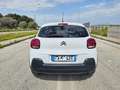 Citroen C3 BlueHDi 100 S&S Business 2 POSTI Bianco - thumbnail 6