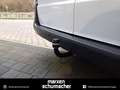 Mercedes-Benz Vito Vito 116 CDI 4x4 Kasten Lang 9G+Kamera+Klima+AHK Bianco - thumbnail 6