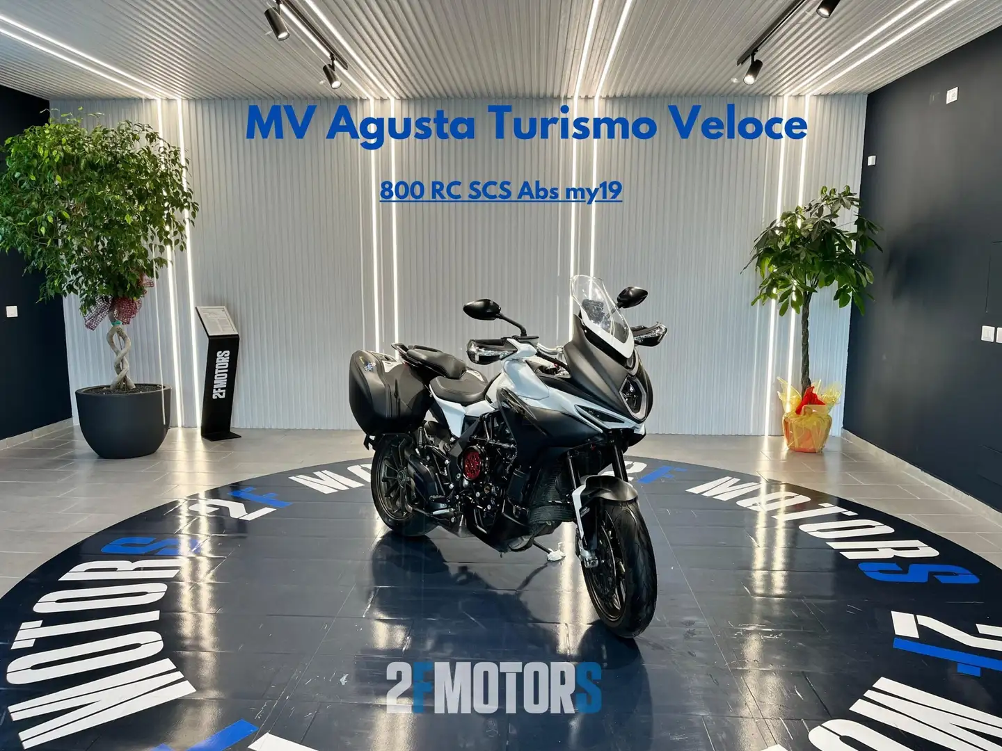 MV Agusta Turismo Veloce 800 LUSSO SCS Abs my19 Gris - 1