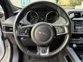 Jaguar F-Pace F-Pace 20d AWD R-Sport Aut. R-Sport Weiß - thumbnail 12