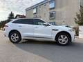 Jaguar F-Pace F-Pace 20d AWD R-Sport Aut. R-Sport Weiß - thumbnail 4