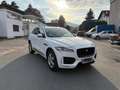 Jaguar F-Pace F-Pace 20d AWD R-Sport Aut. R-Sport Weiß - thumbnail 1