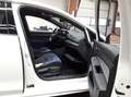 Volkswagen Golf VIII 2.0 TSI DSG 4Motion R DAB+ IQLight Fro Weiß - thumbnail 5
