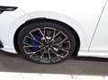 Volkswagen Golf VIII 2.0 TSI DSG 4Motion R DAB+ IQLight Fro Weiß - thumbnail 7