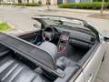 Mercedes-Benz CLK 320 CABRIO AMG PAKKET BJ 98 /COMPLEET AMG UITGV/19''AM - thumbnail 25