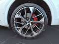 Audi Q5 S line 40 TDI quattro Weiß - thumbnail 12