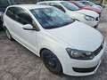 Volkswagen Polo 1.2 5 porte Trendline Bianco - thumbnail 2