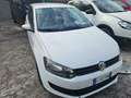 Volkswagen Polo 1.2 5 porte Trendline Bianco - thumbnail 3