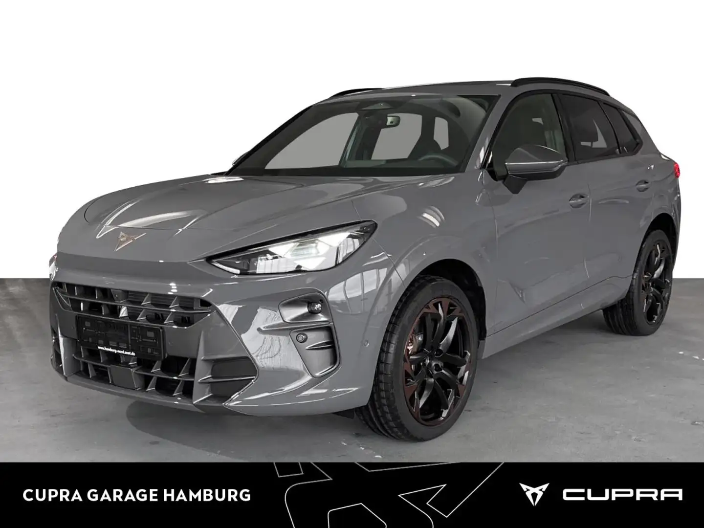 CUPRA Terramar VZ 2.0 TSI 7-Gang DSG 4Drive Grau - 1