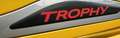Renault Clio Clio 1.6 Turbo 220 EDC RS Trophy Giallo - thumbnail 18