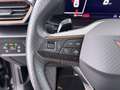 CUPRA Leon ST 2.0 TDI Aut LED NAVI SITZHZG ASSIST TEMP Schwarz - thumbnail 22