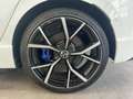 Volkswagen Golf VIII R 2.0 TSI DSG 4M DCC LED-Matrix "Harma Weiß - thumbnail 8
