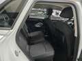 Audi Q3 Q3 II 2018 40 2.0 tdi  quattro 200cv s-tronic Weiß - thumbnail 12