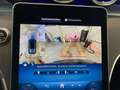 Mercedes-Benz C 180 T-Modell AVANTGARDE+18"+LED+360°- KAMERA Grau - thumbnail 10