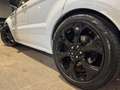 Land Rover Range Rover Evoque 2.0 Si4 HSE Dynamic Head Up 360 Camera Panoramadak Wit - thumbnail 8