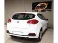 Kia Ceed / cee'd 1.4CRDi Concept Weiß - thumbnail 6