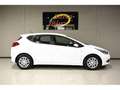 Kia Ceed / cee'd 1.4CRDi Concept Weiß - thumbnail 3