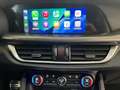 Alfa Romeo Stelvio Stelvio 2023 2.2 t Competizione Q4 210cv auto Grigio - thumbnail 12