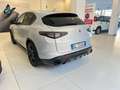 Alfa Romeo Stelvio Stelvio 2023 2.2 t Competizione Q4 210cv auto Grigio - thumbnail 3