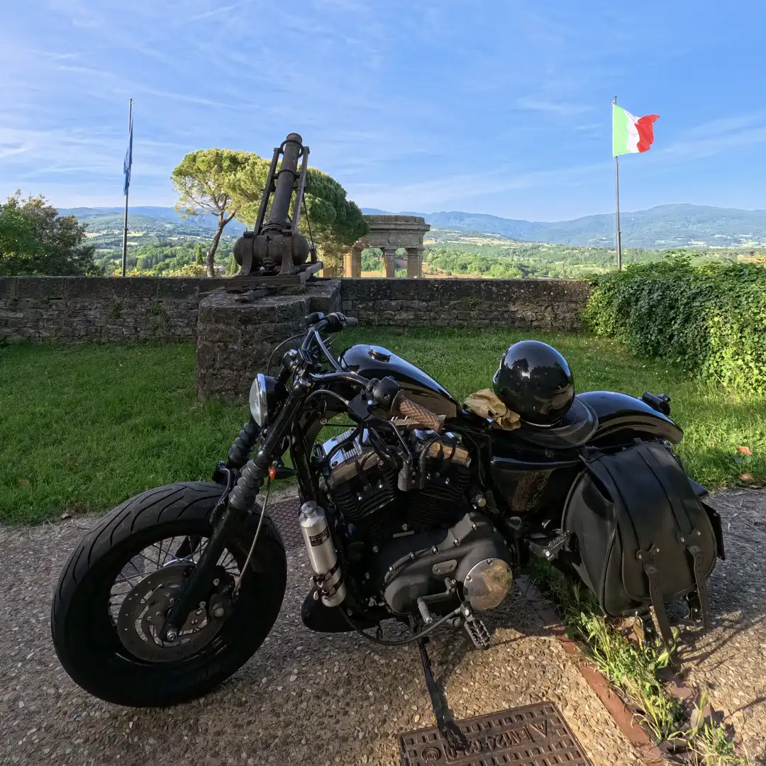 Harley-Davidson Sportster Forty Eight 1200 - 2