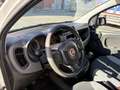 Fiat Panda 1.0 HYBRID VAN IVA ESPOSTA Bianco - thumbnail 9