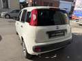 Fiat Panda 1.0 HYBRID VAN IVA ESPOSTA Bianco - thumbnail 4