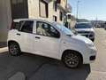 Fiat Panda 1.0 HYBRID VAN IVA ESPOSTA Bianco - thumbnail 12