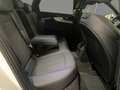 Audi A4 S line 40 TFSI qu. S tr. AHK PDC 360°K Weiß - thumbnail 9