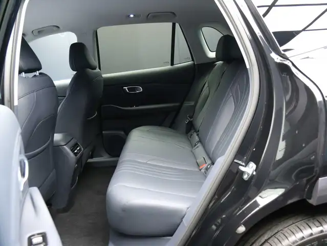 Geely Starray EM-I view 8