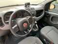 Fiat Panda Panda III 2016 1.0 hybrid City Cross s Blanco - thumbnail 9