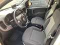 Fiat Panda Panda III 2016 1.0 hybrid City Cross s Blanco - thumbnail 8