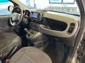 Fiat Panda 1.0 firefly hybrid City Life s&s 70cv 5p.ti Gris - thumbnail 11