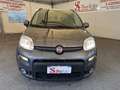 Fiat Panda 1.0 firefly hybrid City Life s&s 70cv 5p.ti Gris - thumbnail 6