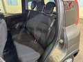 Fiat Panda 1.0 firefly hybrid City Life s&s 70cv 5p.ti Gris - thumbnail 12