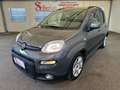 Fiat Panda 1.0 firefly hybrid City Life s&s 70cv 5p.ti Gris - thumbnail 1
