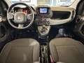 Fiat Panda 1.0 firefly hybrid City Life s&s 70cv 5p.ti Gris - thumbnail 4