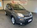 Fiat Panda 1.0 firefly hybrid City Life s&s 70cv 5p.ti Gris - thumbnail 7