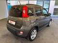 Fiat Panda 1.0 firefly hybrid City Life s&s 70cv 5p.ti Gris - thumbnail 8