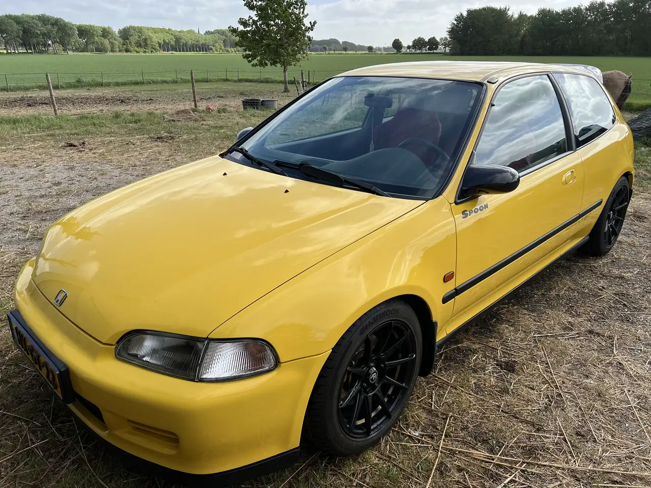 Honda Civic 1.6 Vti Spoon Yellow, foto 7