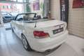 BMW 120 120d CABRIO FUTURA 177CV Bianco - thumbnail 5