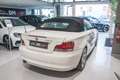 BMW 120 120d CABRIO FUTURA 177CV Bianco - thumbnail 6