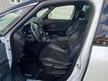 Renault Scenic 1.7 Blue dCi 150ch Black Edition Blanc - thumbnail 4