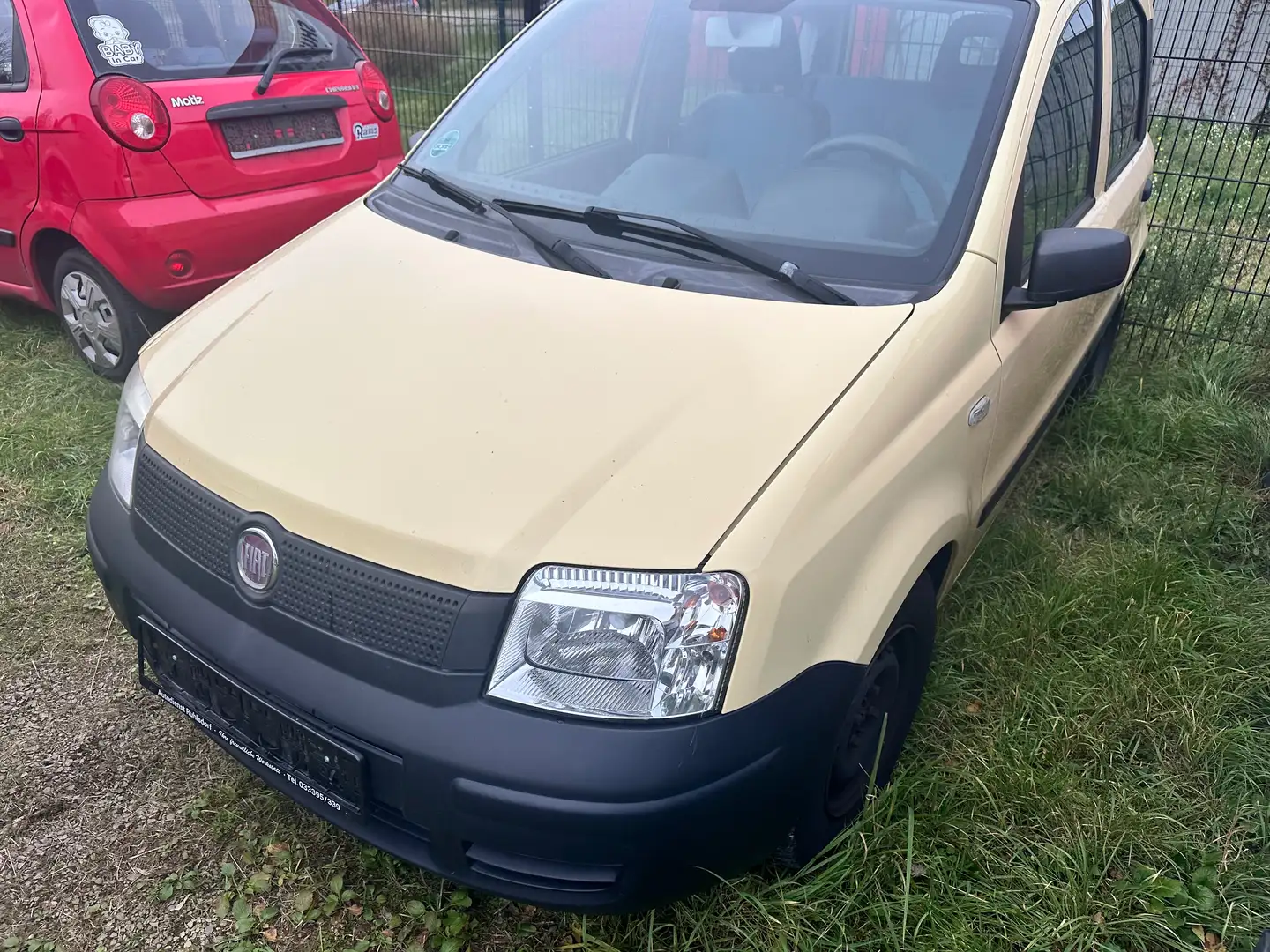 Fiat Panda Panda 1.1 Active Gelb - 1