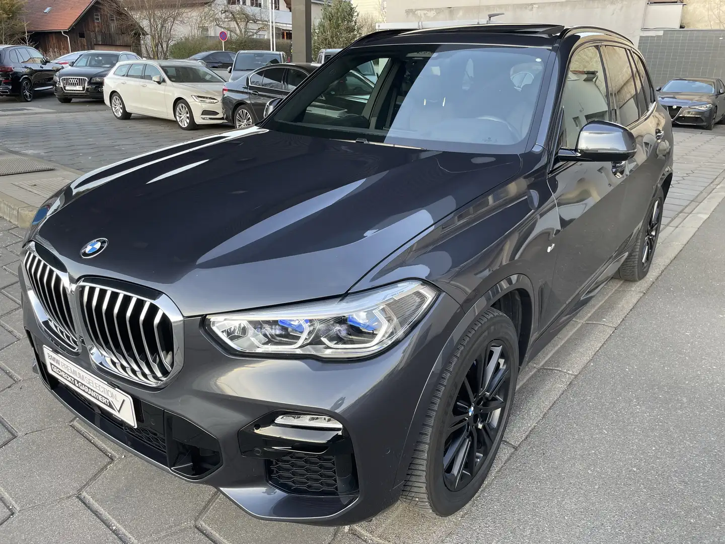 BMW X5 xDrive 40 d M Sport AHK Laser Panorama Standheiz Gris - 1
