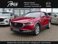 Mazda CX-30 2.5L e-SKYACTIV G 140ps 6AT FWD Exclusive-line Rot - thumbnail 1